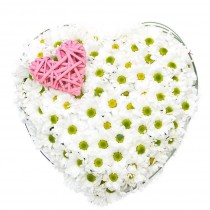 Heart-shape box of bush chrysanthemum